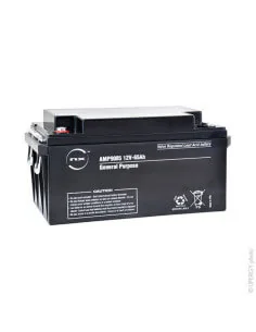 Batterie AGM 12V 65Ah étanche à décharge lente ENIX