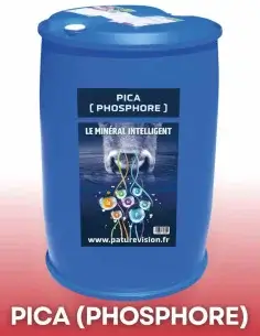 Pica phosphore 200 kg BIO – Terra Nutritech