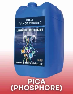 Pica phosphore 20 kg – minéral liquide anti PICA