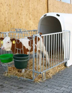 CalfHouse Premium Plus avec enclos léger Kerbl