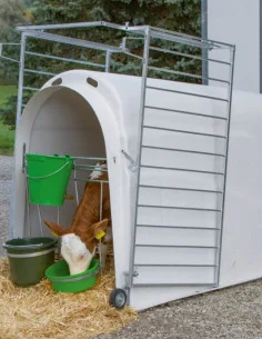 Niche à veau Master Plus avec enclos lourd KERBL