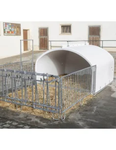CalfHouse Premium XXL Kerbl avec enclos, niche à veaux