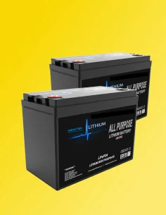 Pack DUO 2x batterie lithium LiFePO4 20Ah PACK-128001