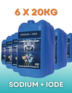 Sodium + Iode BIO - Pack 6x20 kg minéral liquide taries