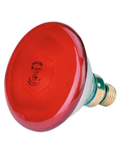 Lampe PHILIPS infrarouge PAR38 E27 - KERBL 102992