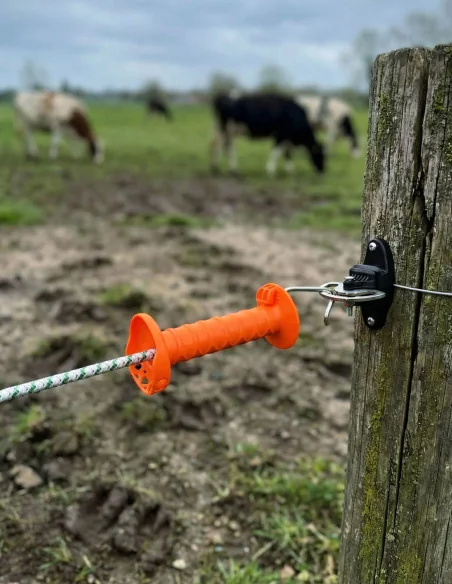 Poignée inox cordon élastique x5 – orange haute visibilité