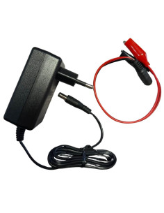 Chargeur LiFePO4 Nemtek pour batteries lithium (LS25/LS50)